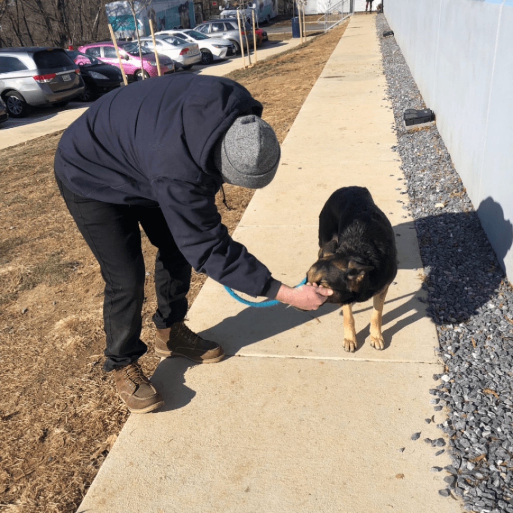 a man is petting a dog on the sidewalk